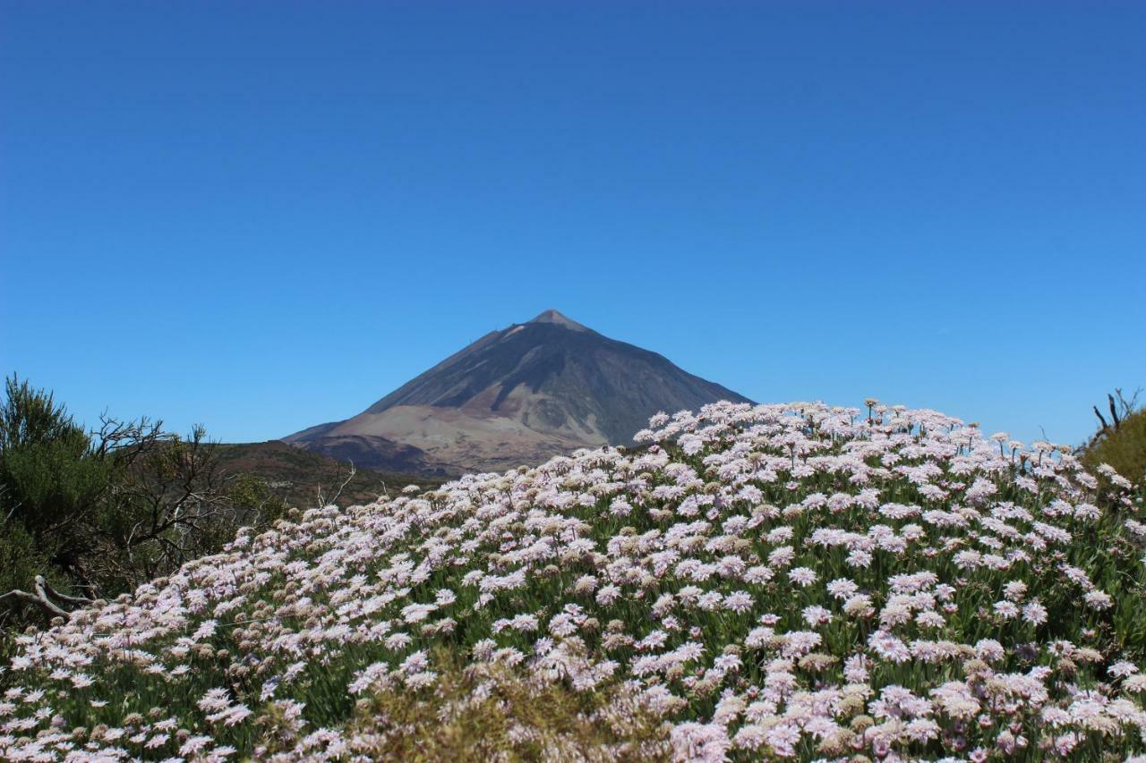 Apt El Perenquen Santa Cruz de Tenerife Eksteriør bilde